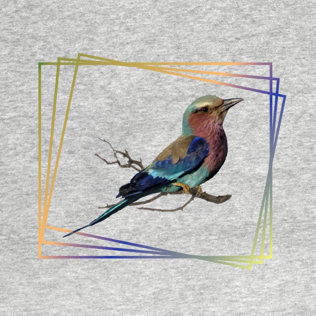 Lilac-breasted-Roller - Bird in Africa by T-SHIRTS UND MEHR